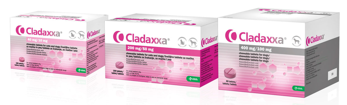 Cheapest place to get amoxicillin