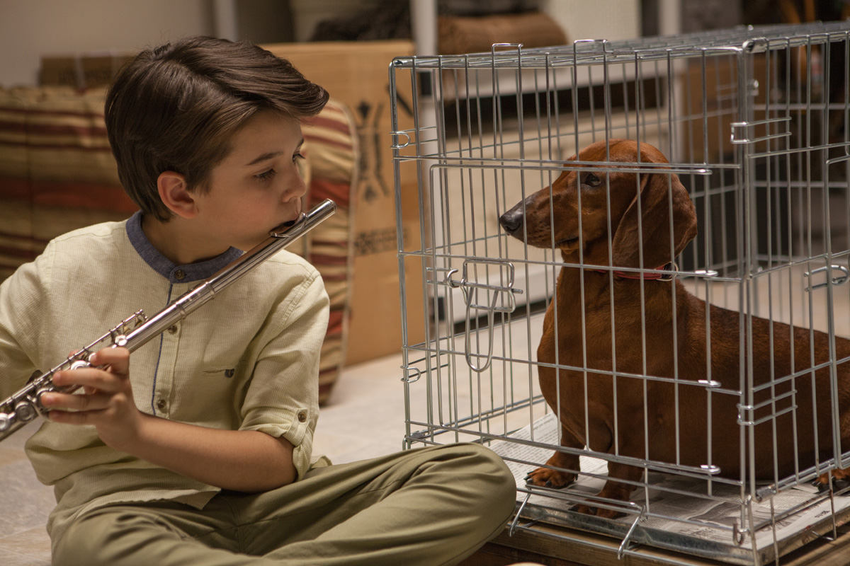 11_Web Exclusive_Premiers_Wiener-Dog_Photo by Linda Kallerus