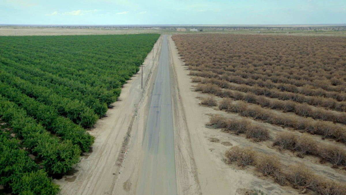 Water & Power: A California Heist – Samuel Painter shot this documentary for director Marina Zenovich about the Golden State’s debilitating groundwater crisis.