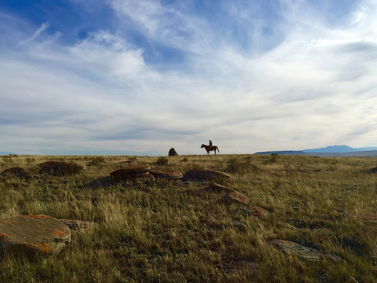 Rancher, Farmer, Fisherman – Emmy winner and Oscar nominee Buddy Squires, ASC teamed with Sundance Cinematography winner Bob Richman (The September Issue) to lens this story about the new heroes of American conservation.